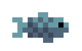 Little Fish D